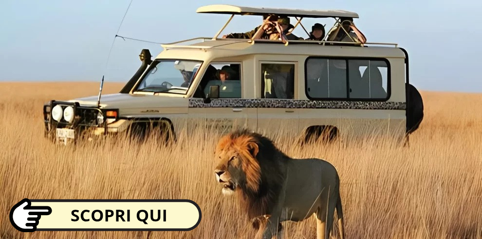 dream and go safari kenya watamu